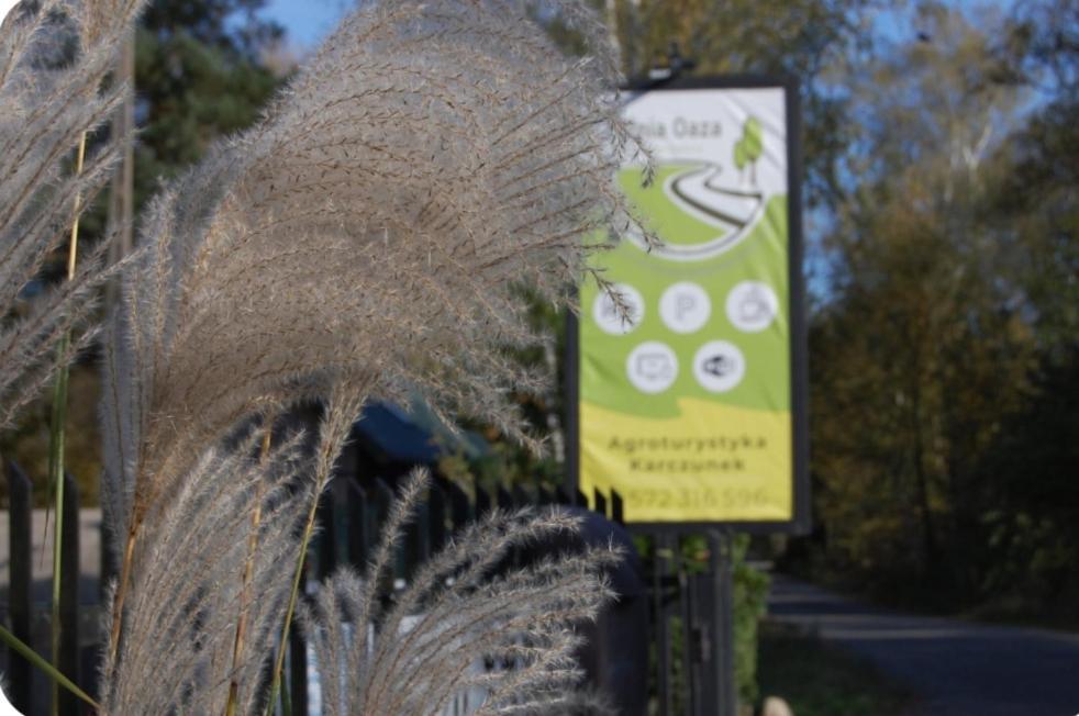 Letnia Oaza "Forsycja" Villa Sobienie Jeziory Buitenkant foto