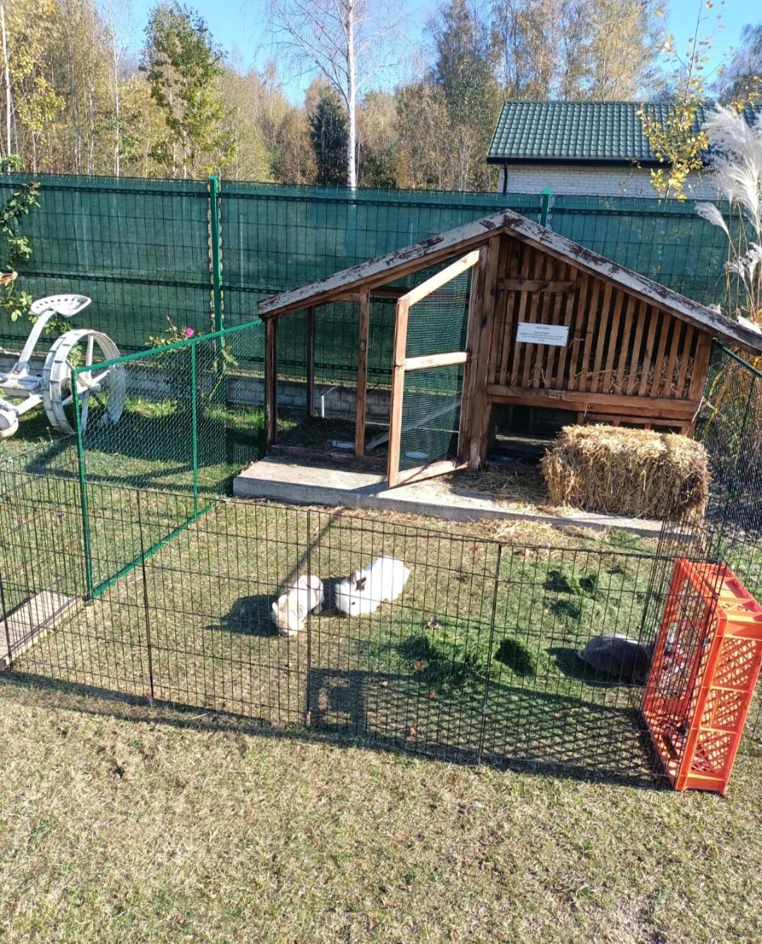 Letnia Oaza "Forsycja" Villa Sobienie Jeziory Buitenkant foto